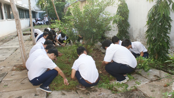 Trường THPT Trần Nguyên Hãn đã ra quân diệt loăng quăng, làm sạch môi trường phòng bệnh sốt xuất huyết